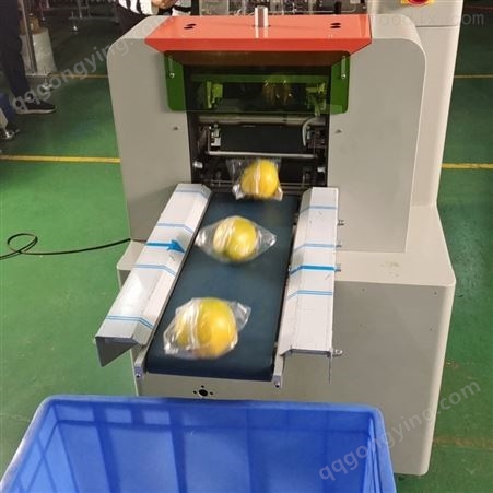 广西柠檬包装机生产
