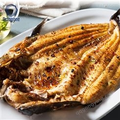 越南进口巴沙鱼厂家 烧烤小吃腌制水产品 真空包装腌鱼700g-900g