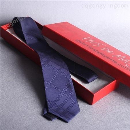 领带 公司定做领带 工厂销售 和林服饰
