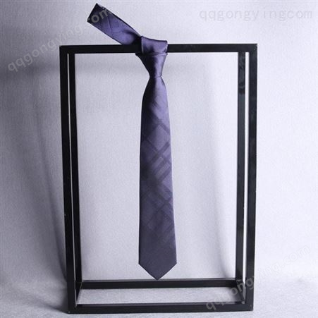 领带 公司定做领带 工厂销售 和林服饰