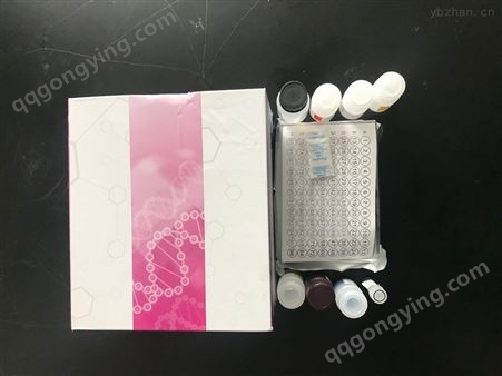 兔基质金属蛋白酶-1试剂盒图片