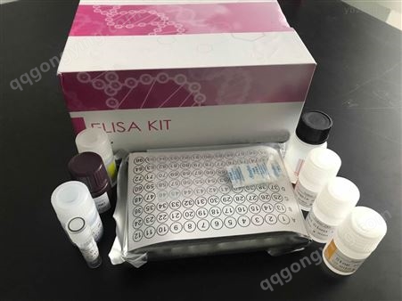 大鼠血红素氧合酶1（HO-1）试剂盒图片