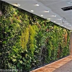 室内绿植墙面 垂直绿化墙 金森