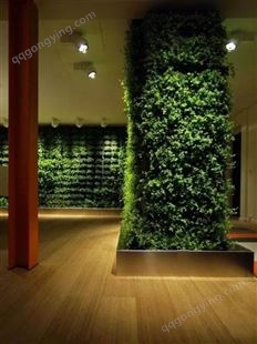 西安绿植墙 室内办公绿植 植物墙垂直绿化 绿植墙体