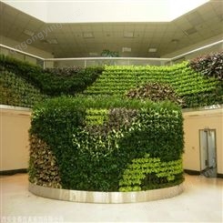 绿化立体植物墙 园林景观仿真造景 假绿植墙施工 金森