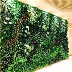植物墙 绿植墙 规格齐全 西安仿真植物-金森造景