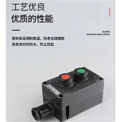 欧瑞克ZXF8030防爆防腐主令控制器(II C Ex tD)
