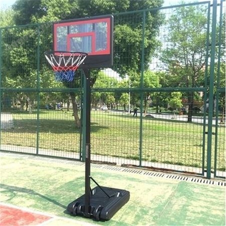 儿童户外篮球架 可升降青少年篮球架 可移动儿童篮球架 泰昌体育器材