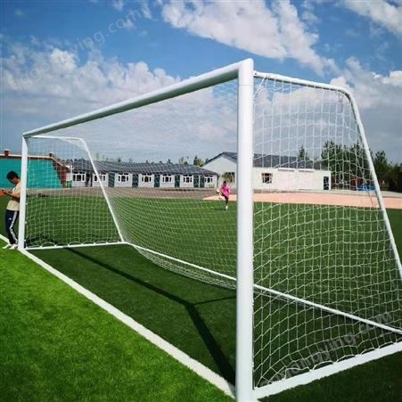 中小学校移动足球门系列新型产品 标准手球门室内外可移动 泰昌体育