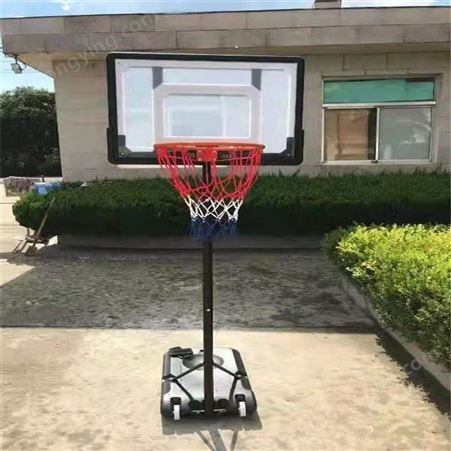 儿童户外篮球架 可升降青少年篮球架 可移动儿童篮球架 泰昌体育器材