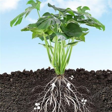 贝农供应 七合一用营养土 保湿透气颗粒土 育苗园艺种植用泥炭土