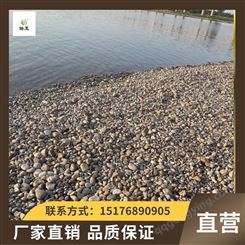 韩玉厂家供应3-5公分鹅卵石 抛光砾石 水洗石 景观石