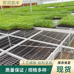 新型日光温室大棚移动苗床 水肥一体化设备植物育苗 室内苗床设计