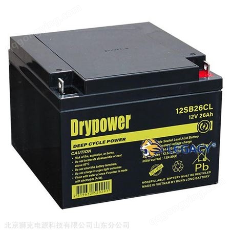 12SB22C美国DRYPOWER蓄电池12SB22C 12V22AH工业储能