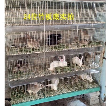 装小兔子的笼子加粗兔笼特大养殖笼12位三层子母饲养笼