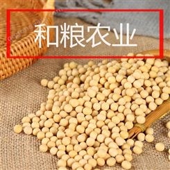 黄豆价格 黑龙江大豆出厂价走势新行情 国内东北绥化海伦大豆毛粮期货 和粮农业