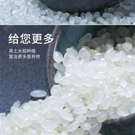 溢田珍珠米5kg（刘和刚） 和粮农业 黑土水稻种植