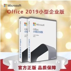 Office 小型企业版 2016/2019/2021/2013/2010office办公软件