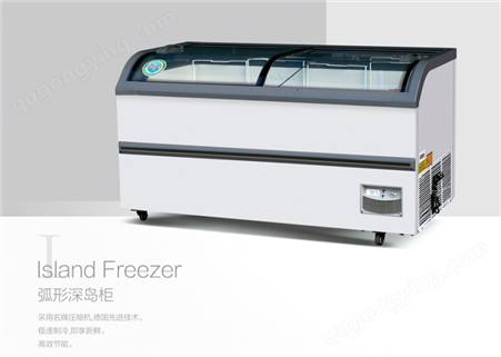 雪立方 SD-338NL商用卧式冰柜展示柜 弧形岛柜 超市雪糕柜