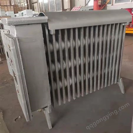矿井用防爆取暖器 RB型本安型电暖器 电加热油汀 RB-2000/127(A)