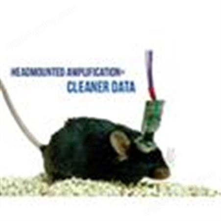小动物脑电测量仪：大鼠脑电测量仪，小鼠脑电测量仪