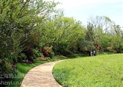 上海闸北竹子私家花园设计花园养护
