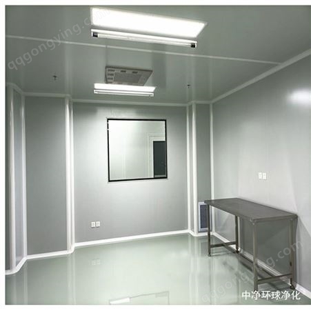 百级无尘室净化车间设计施工,广州洁净工程公司