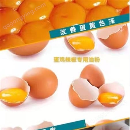 蛋鸡辣椒油粉是蛋鸡养殖的黄金伴侣