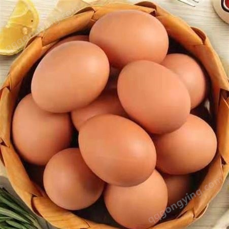 蛋鸡辣椒油粉是蛋鸡养殖的黄金伴侣