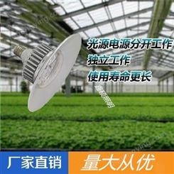 供应LED全光谱植物补光灯 花卉多肉植物灯 厂家批发直供