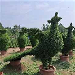 五色草 园林绿化 植物 立体花坛 绿雕 景观造型 宏铭园艺
