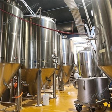将军金属 自酿啤酒设备 自控啤酒屋中小型啤酒厂配套家酿