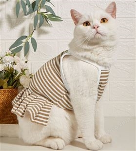猫咪衣服针织裙衣春夏季条纹裙狗狗可爱幼猫英短小猫蓝猫宠物服饰