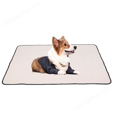 【防水垫】可重复机洗摇粒绒防水毯 多色涤纶宠物猫狗防水垫