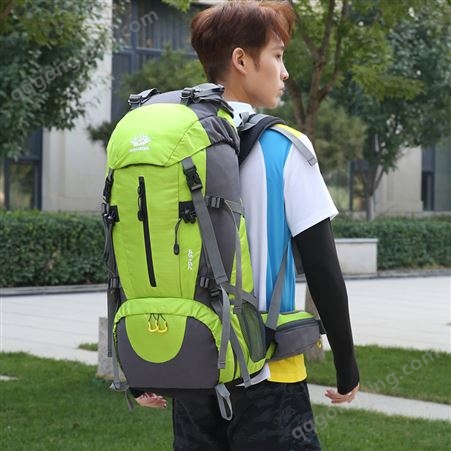 登山包跨境户外运动大容量尼龙双肩包徒步旅行运动多功能户外背包