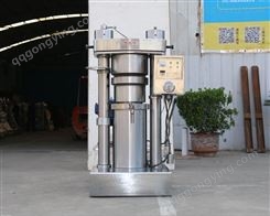 奇丰17KG液压机立式液压榨油机香油机油坊油厂设备